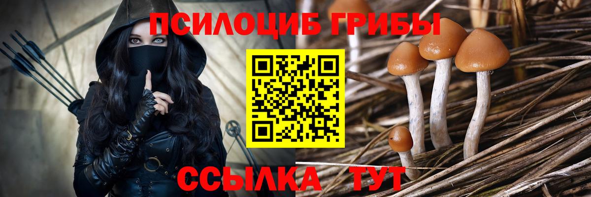 Галлюциногенные грибы Magic Shrooms Горячий Ключ